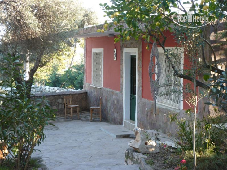 Hotelier's photos Medusa House