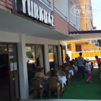 Turkuaz