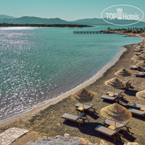 Anda Barut Collection 