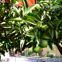 Erendiz Kemer Resort 