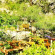 Dionysos Lodge 