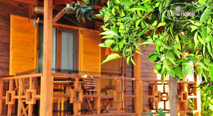 Hotel photo Ikiz Pansion 