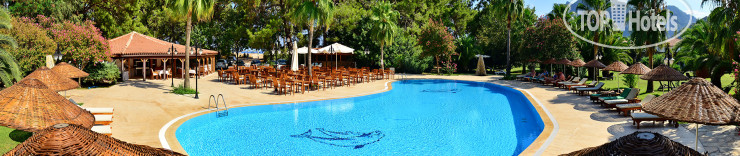 New photos from tourists Odile Hotel 3*
