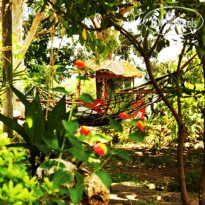 Likya Pansyon Сад