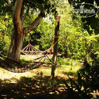 Likya Pansyon Сад