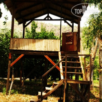 Likya Pansyon Сад