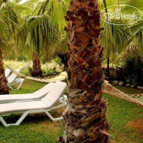 Olympos Yavuz Hotel Сад