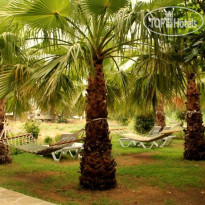 Olympos Yavuz Hotel Сад