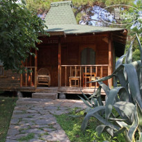 Arcadia Hotel Коттедж