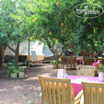 Cirali Olympos Hotel Сад