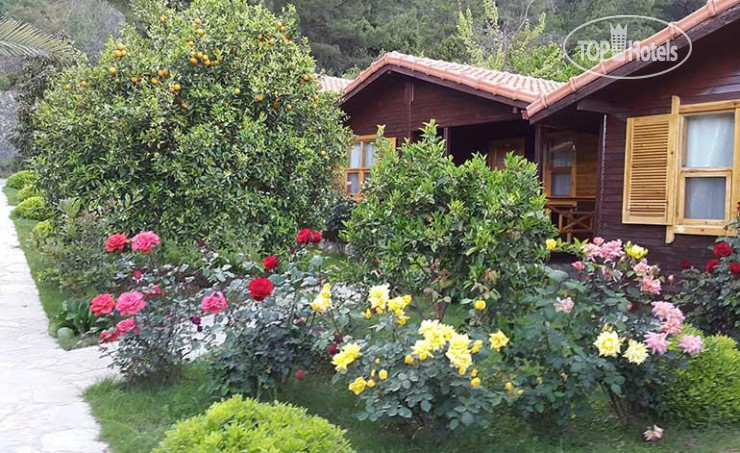 Hotel photo Cirali Hotel 