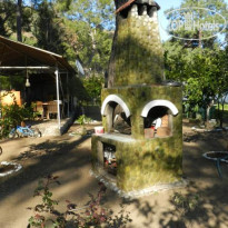 Cirali Dunya Bungalow Территория отеля