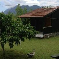 Cirali Dunya Bungalow Территория отеля