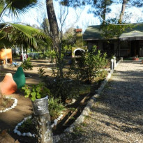 Cirali Dunya Bungalow Территория отеля