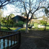 Cirali Dunya Bungalow Территория отеля