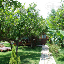 Baraka House Сад