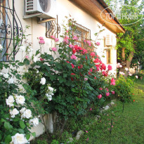 Yildiz Pension