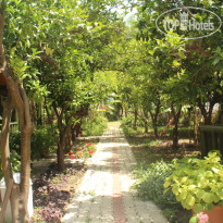 Rose Bungalov 