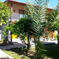 Plaj Hotel