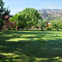 Cirali Almira Bungalow
