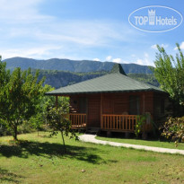 Cirali Almira Bungalow