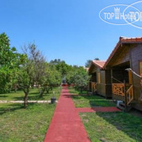 Baris Pansiyon & Bungalows