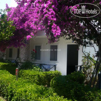 Blue & White Hotel