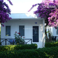 Blue & White Hotel