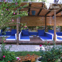 Blue & White Hotel