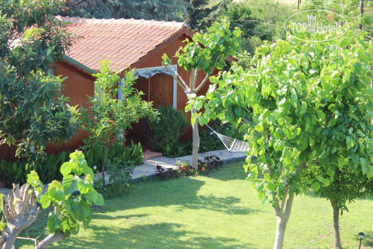 Hotelier's photos Ali Baba Pension
