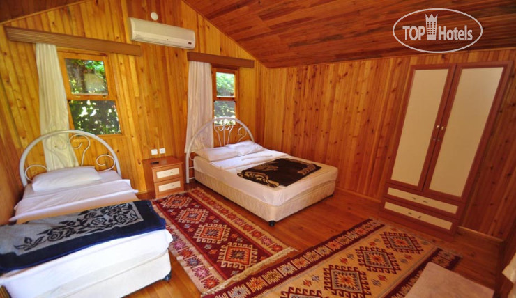 New photos from tourists Ali Baba Pension