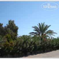 Anadolu Hotel & Apart