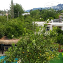 Guler Hotel