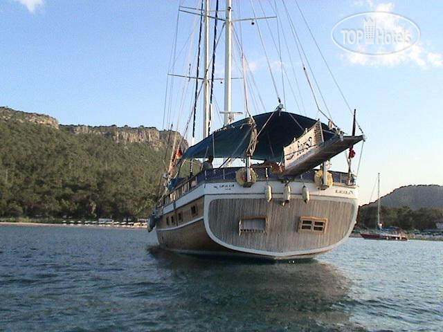 Hotel photo Blue Voyage Forsa Hotel 
