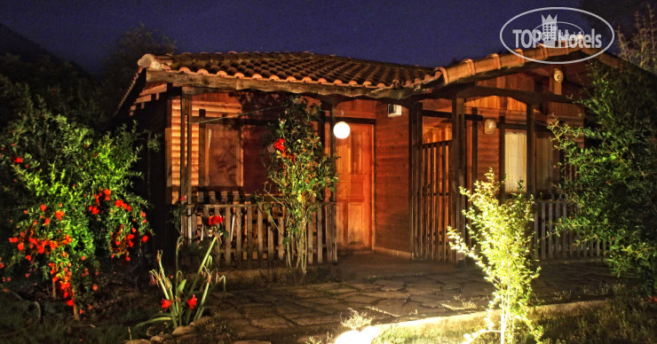 New photos from tourists Koala Bungalows
