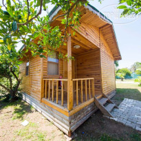Elamir Beach Bungalow 