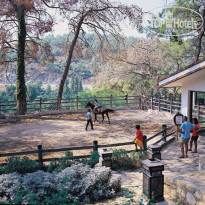 Holiday Area Eco Dream Club Green Resort