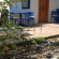 Photos Kucuk Denizkizi