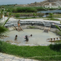 Umut Thermal