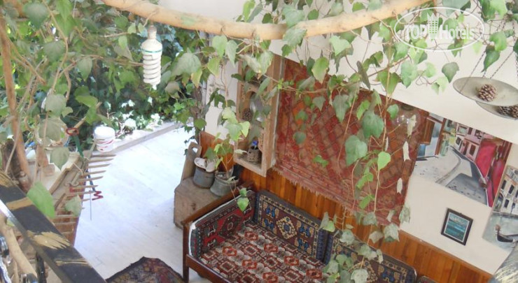 New photos from tourists Ozen Turku Pension 