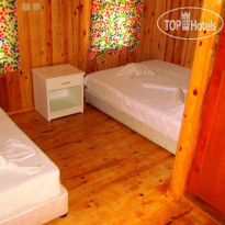 Jungle Bells Hostel