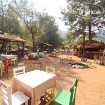 Jungle Bells Hostel