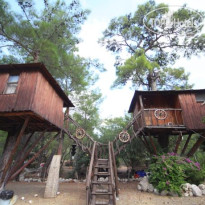 Jungle Bells Hostel