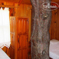 Jungle Bells Hostel
