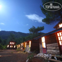 Jungle Bells Hostel