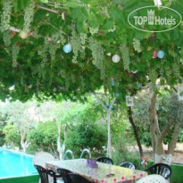 Antalya Farm House Сад