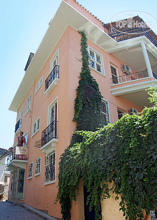 Hotelier's photos Tulipan Villa