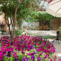 Tulipan Villa 