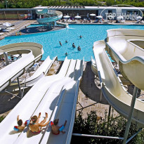 Nirvana Cosmopolitan 