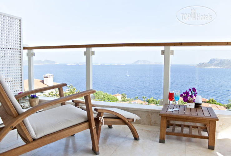New photos from tourists Olea Nova
